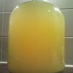 2011-03-13 20.45.49 (480x640)