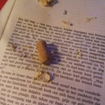 verpulveren van pluggen in boek