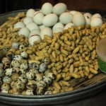 IMG_3347 IMG_3347