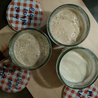Het voeden: beide desem zijn ca 12 uur na de laatste voeding op hun bubbeligst. De WB desem is marginaal meer bubbelig. WB-MW 1:0
