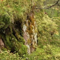 prachtig Dalsland