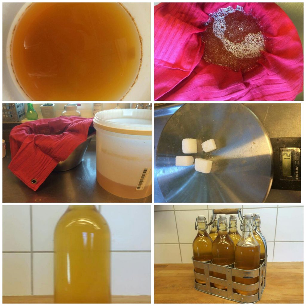 Zweedse cider gebotteld