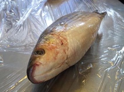 Koksopleiding dag 2: terrinetranen