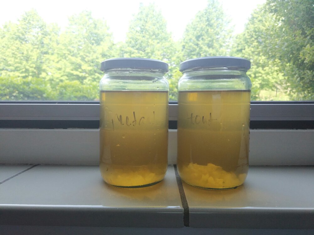 Wateetons Wetenschap – heeft metaal invloed op de groei van waterkefirkorrels?