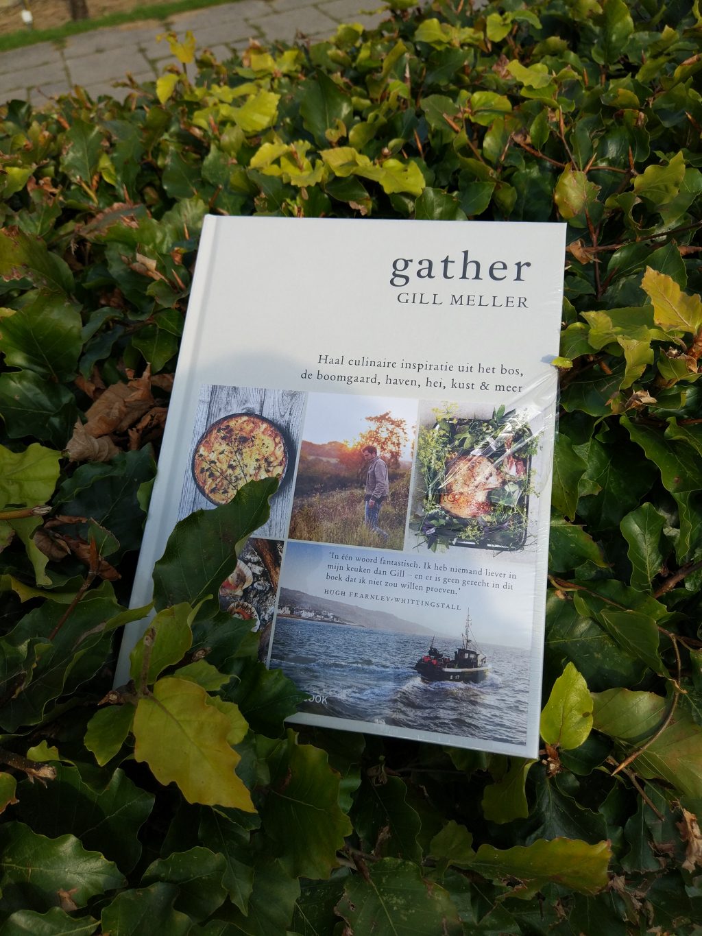 Meneer leest een boek: Gather van Gill Meller