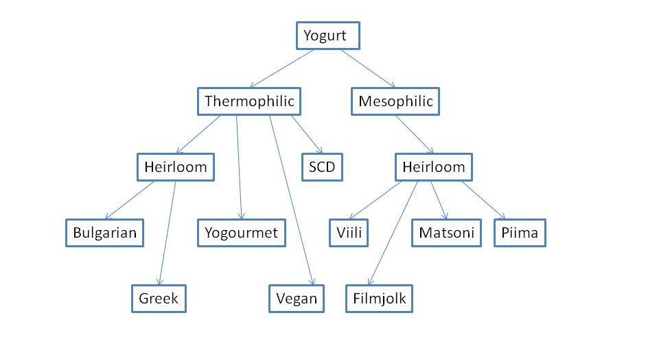 Handig overzichtje met yoghurtsoorten
