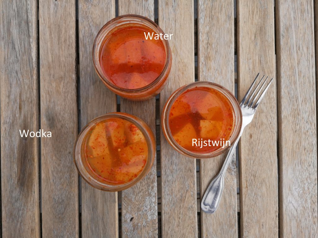 Wateetons Wetenschap: gefermenteerde tofu replicatie