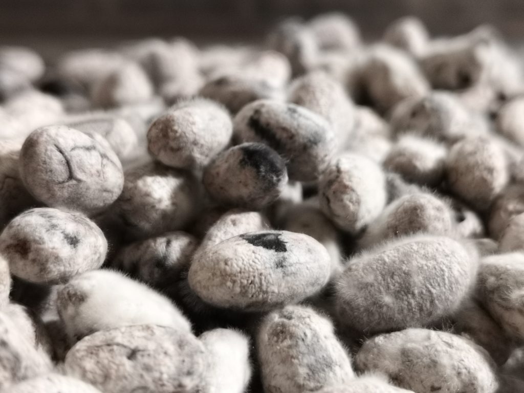 Zwarte bonen koji