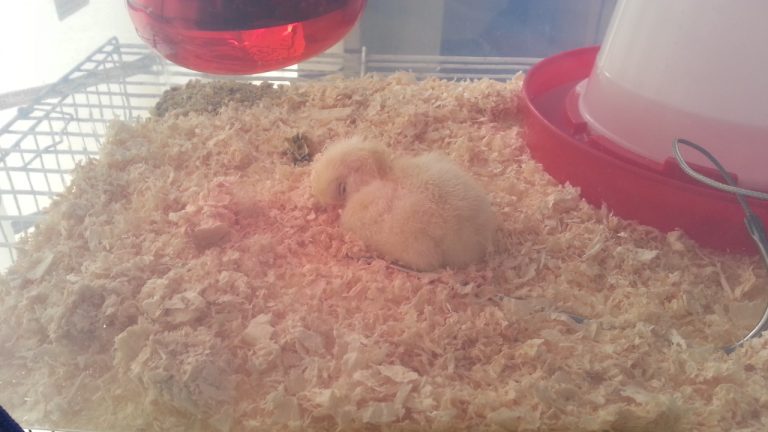 awwww