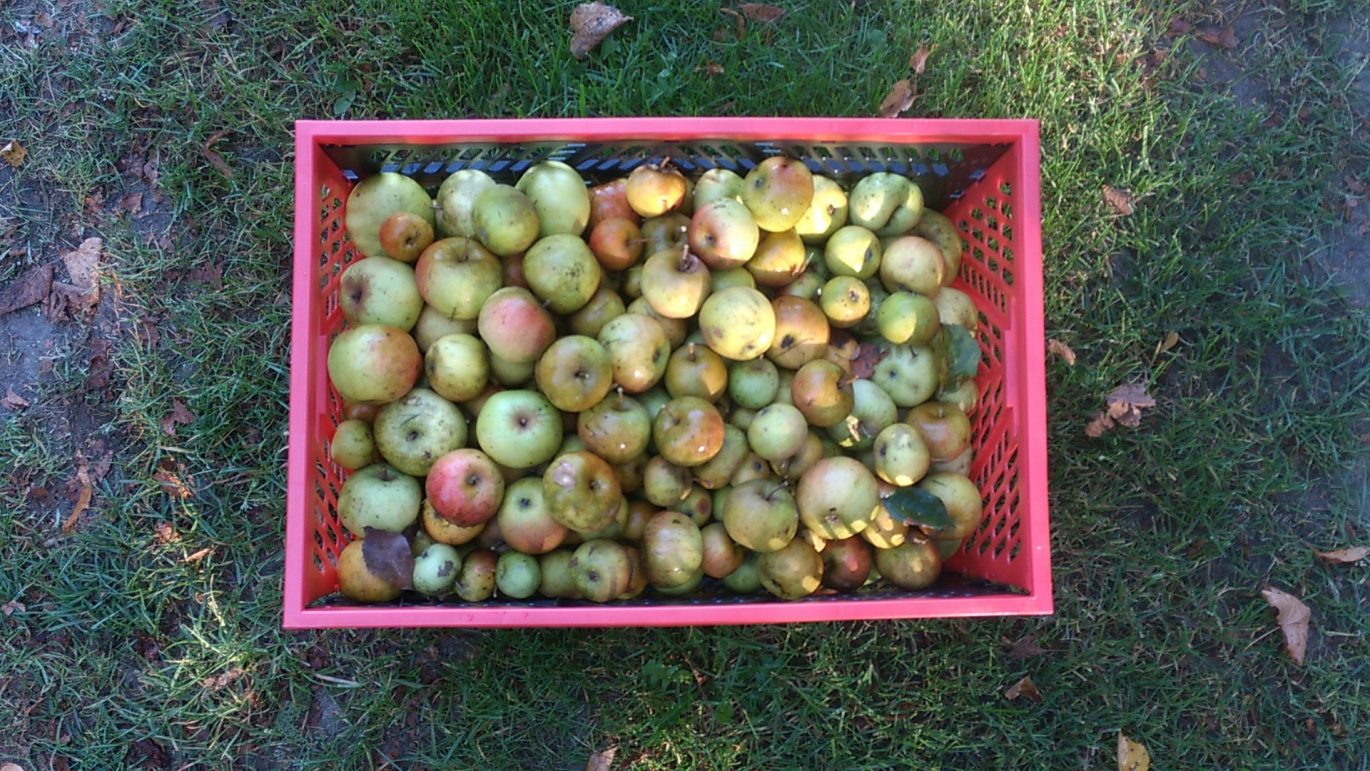 appeltjes