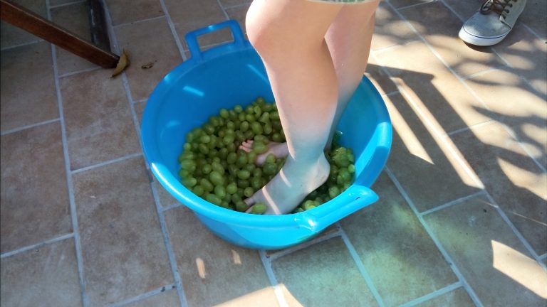 20160826_100455.jpg