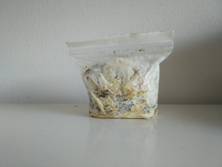 2017-02-28-09-27-40