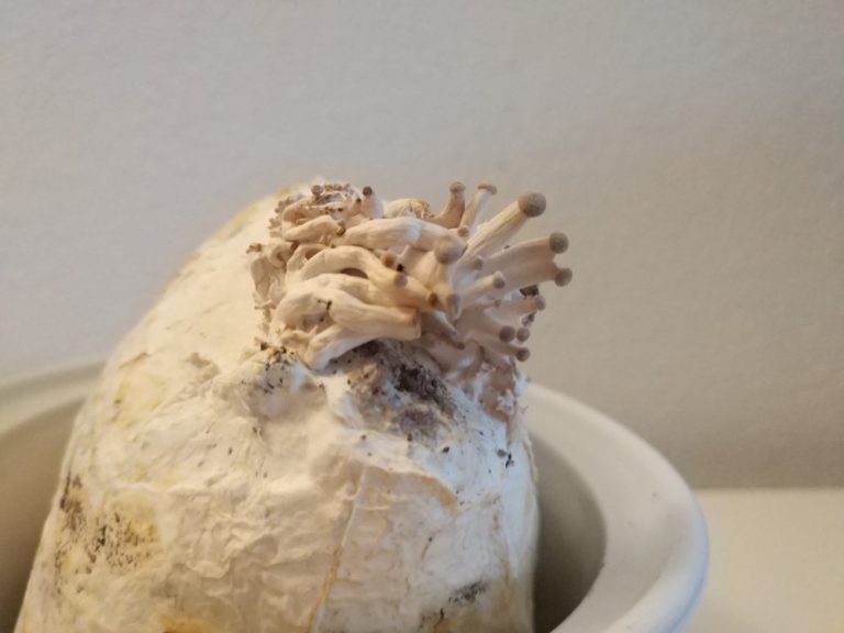 2017-03-10-18-35-39