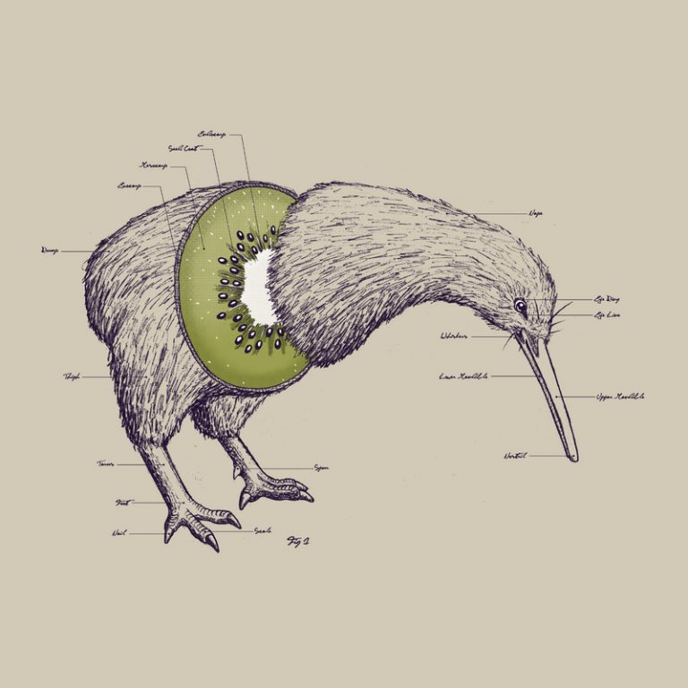 kiwi