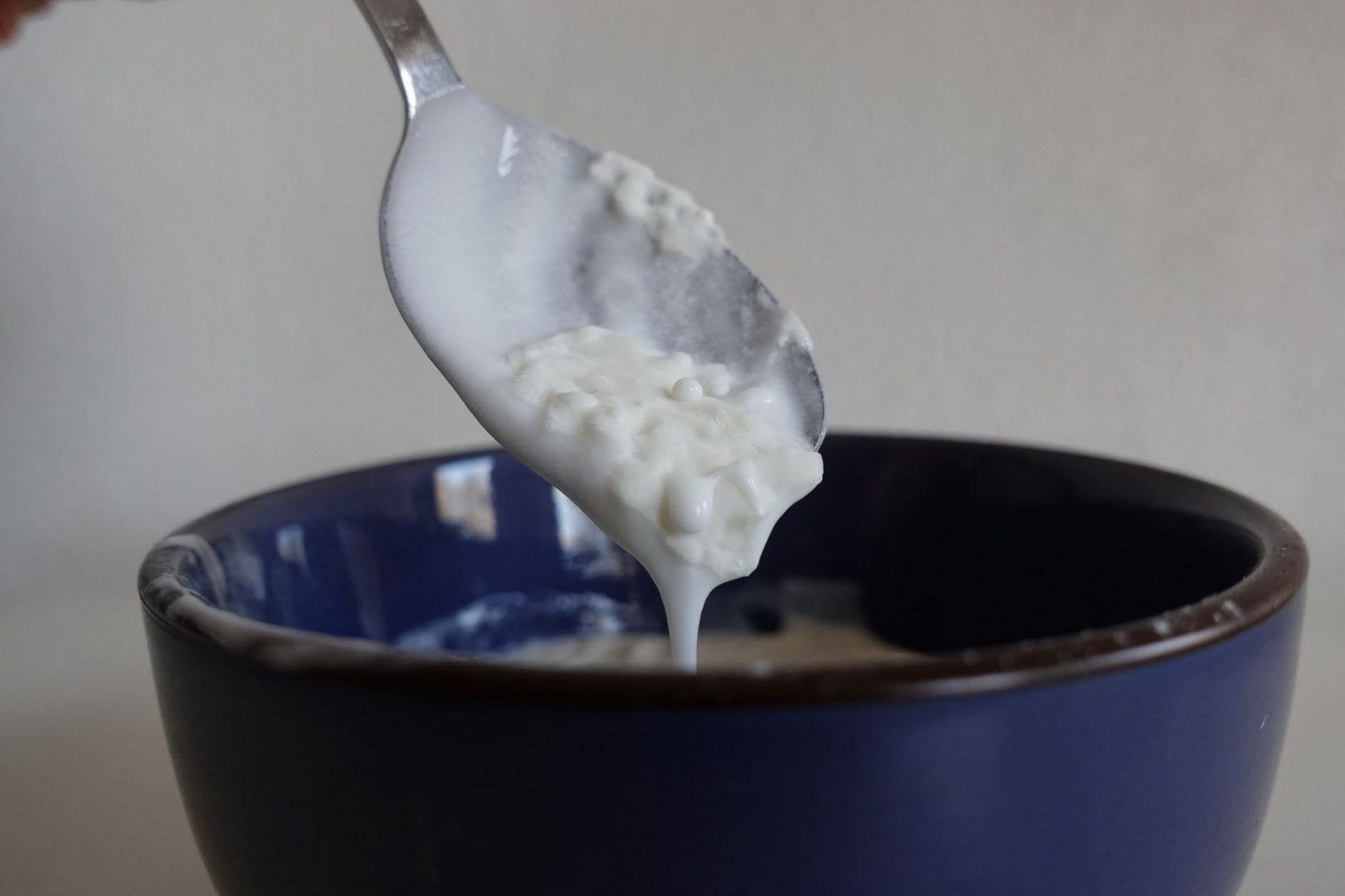 Geitencamembertkefir