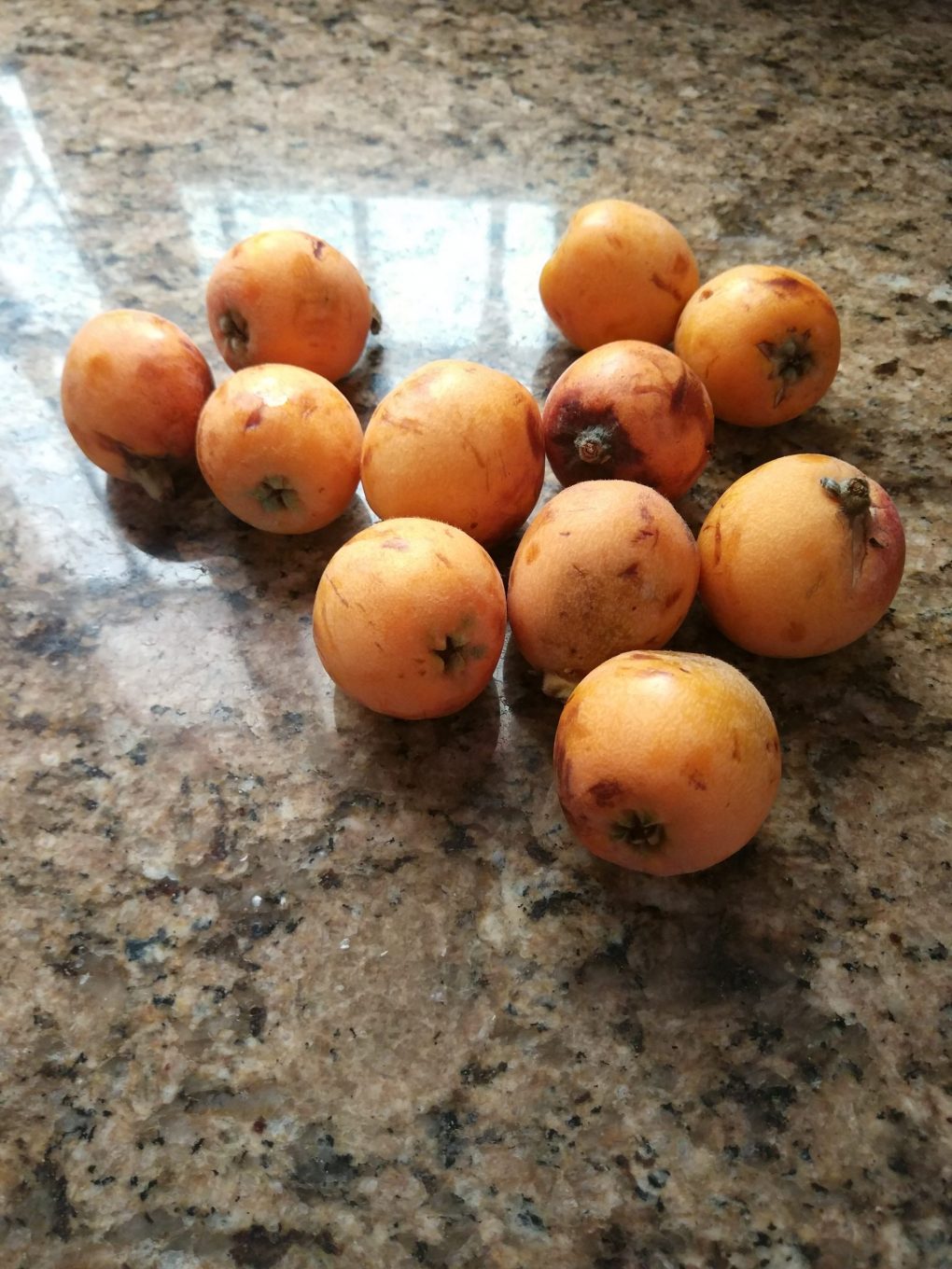 Top 23 van lekkerste tropische vruchten