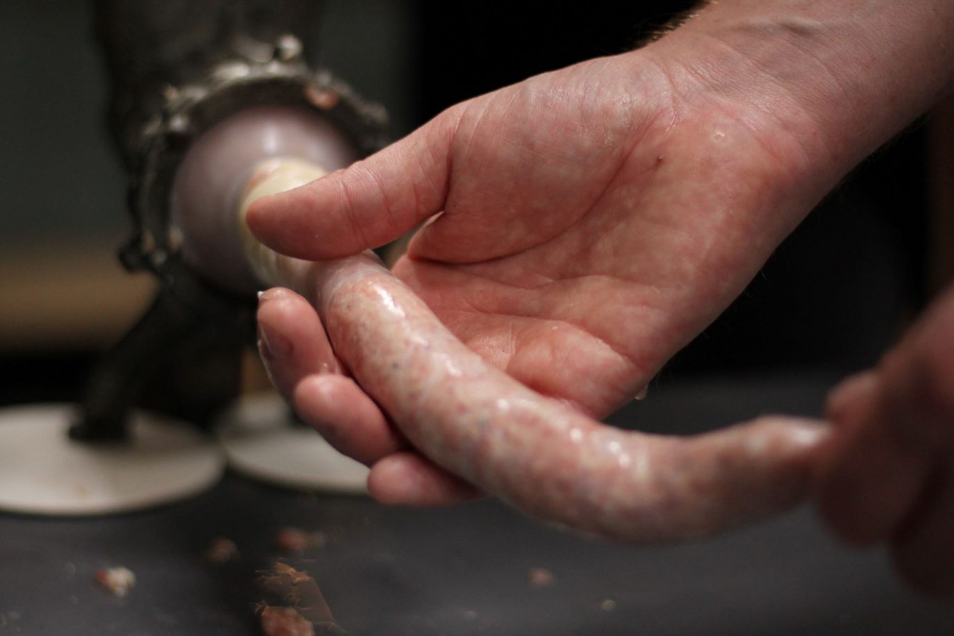 Workshop Kop tot Staart varken - Wateetons