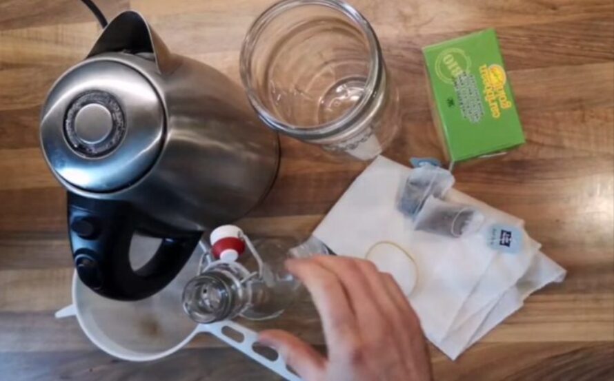 Online cursus kombucha maken - Afbeelding 3