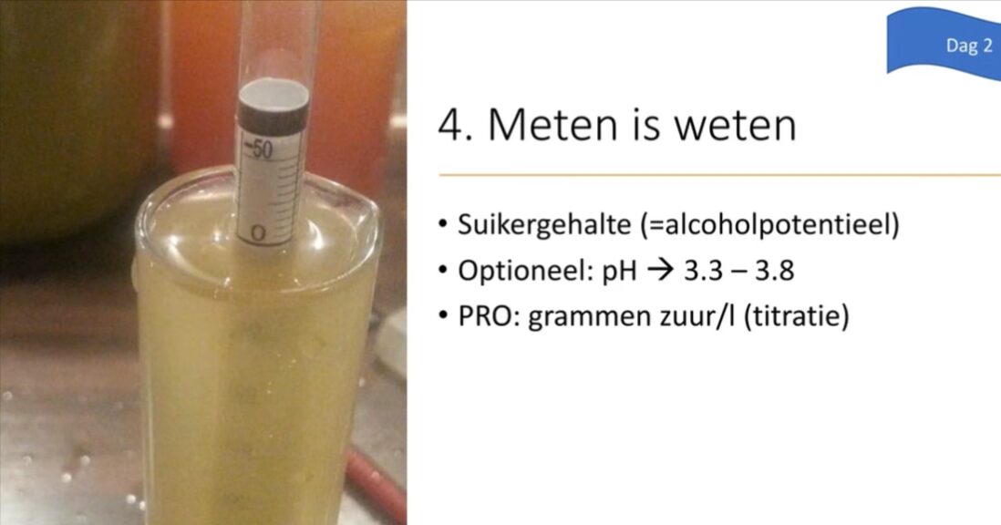 Online cursus cider maken - Afbeelding 3
