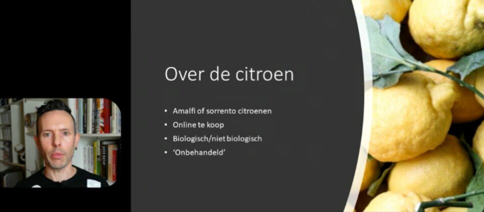 Online cursus limoncello maken - Afbeelding 4