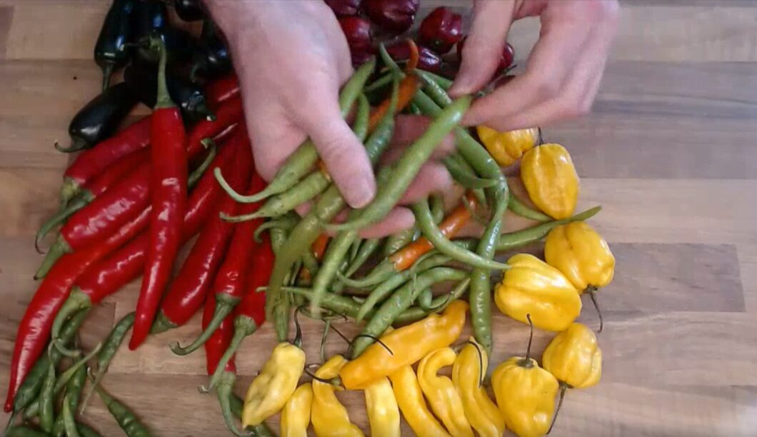 Online cursus gefermenteerde hotsauces maken - Afbeelding 4